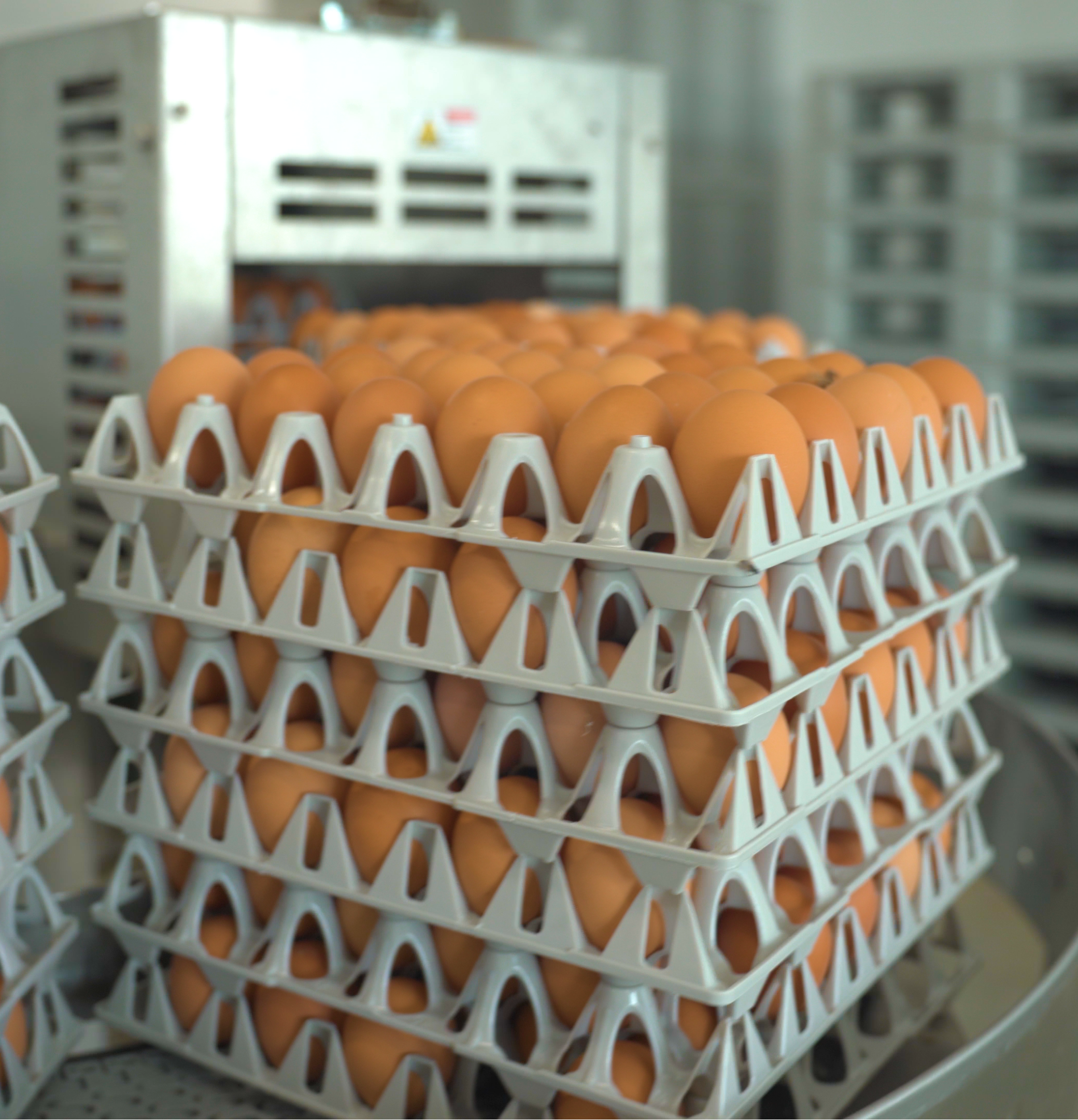 People Choose Us for Quality, Reliability, and Proven Results